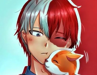 Shoto PFP